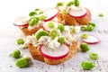 Toasted bread with radish and cottage cheese Royalty Free Stock Photo