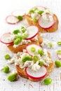 Toasted bread with radish and cottage cheese Royalty Free Stock Photo