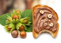 Toasted bread slice with chocolate hazelnut spread is partially bitten, showcasing its Royalty Free Stock Photo