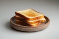 toasted bread slices on a plate on a gray background Royalty Free Stock Photo