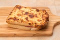 Toasted cheese and ham sandwich - panini Royalty Free Stock Photo