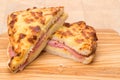 Toasted cheese and ham sandwich - panini Royalty Free Stock Photo