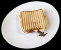 Toasted Cheese Sandwich Royalty Free Stock Photo