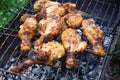 Toasted chicken drumstick with crispy crust on the grill. B-B-Q, picnic, delicious dinner cooked outdoors