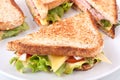 Toasted club sandwiches Royalty Free Stock Photo