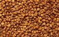 Toasted corn nuts with salt. Food background, top view . Royalty Free Stock Photo