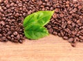 The toasted fragrant grain . Coffee beans texture Royalty Free Stock Photo