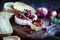 Toasted French bread with baked Camembert Brie cheese with a cranberry honey and nut relish Royalty Free Stock Photo