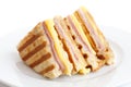 Toasted ham and cheese panini.