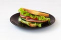 Toasted homemade sandwich with fresh vegetables on the black plate Royalty Free Stock Photo