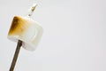 Toasted Marshmallow Royalty Free Stock Photo