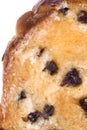 Toasted Raisin Bread Slice Isolated Royalty Free Stock Photo