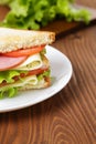 Toasted sandwich with ham, cheese and vegetables Royalty Free Stock Photo