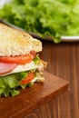 Toasted sandwich with ham, cheese and vegetables Royalty Free Stock Photo