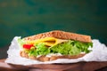 Toasted sandwich with salad leaves, tomatoes and cheese with fork on a cutting board on a dark background Royalty Free Stock Photo