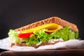 Toasted sandwich with salad leaves, tomatoes and cheese with fork on a cutting board on a green background Royalty Free Stock Photo