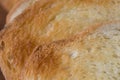 Toasted sliced bread macro Royalty Free Stock Photo