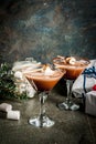 Toasted smores martini Royalty Free Stock Photo