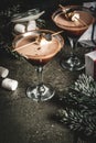 Toasted smores martini Royalty Free Stock Photo