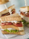 Toasted Triple Decker Club Sandwich with Fries Royalty Free Stock Photo