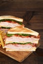 Toasted turkey club sandwich Royalty Free Stock Photo