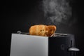 Toaster with ready-made fresh toast on deep dark background Royalty Free Stock Photo