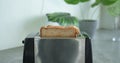 Toaster transforms bread into golden toasts in close-up simplifying breakfast. Toaster cycle step towards quick