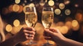 toasting with champagne flutes Royalty Free Stock Photo