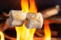 Toasting Marshmallows over a Campfire in a Stewer Royalty Free Stock Photo