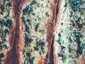 Toasts with basil and garlic close-up on a plate. Royalty Free Stock Photo