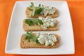 Toasts with cucumber dip Royalty Free Stock Photo