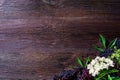 Toasts with elderberry jam and fresh berry fruits on wooden table. Free space for your text. Royalty Free Stock Photo