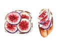 Toasts with figs slices and white cheese or cream