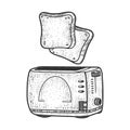 Toasts fly up from toaster sketch vector