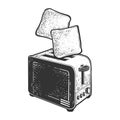 Toasts fly up from toaster sketch vector