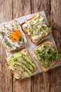Toasts with hummus, avocado, feta cheese, microgreen and egg closeup. Vertical top view