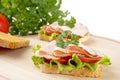 Toasts,lettuce,tomato,cold cuts on cutting board on white Royalty Free Stock Photo