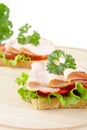 Toasts,lettuce,tomato,cold cuts on cutting board on white