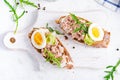 Italian bruschetta sandwiches with canned tuna, egg and cucumber.