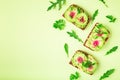 Toasts with watemelon radish, avocado and flex seeds Royalty Free Stock Photo