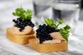 Toasts with pate and caviar