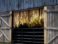 Tobacco Barn Royalty Free Stock Photo