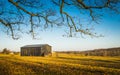 Tobacco Barn In a Field Royalty Free Stock Photo