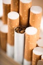 Tobacco in cigarettes with a brown filter Royalty Free Stock Photo