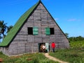 Tobacco Drying Barn In Cuba