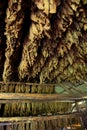Tobacco drying, inside a shed or barn for drying tobacco leaves in Cuba Royalty Free Stock Photo