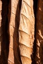 Tobacco drying leafs