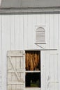 Tobacco Drying in White Barn Royalty Free Stock Photo