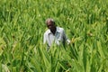 Tobacco farmer