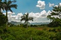 Tobacco fields in Vinales, Cuba